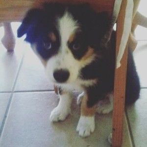 Meet your Posher, Caleb